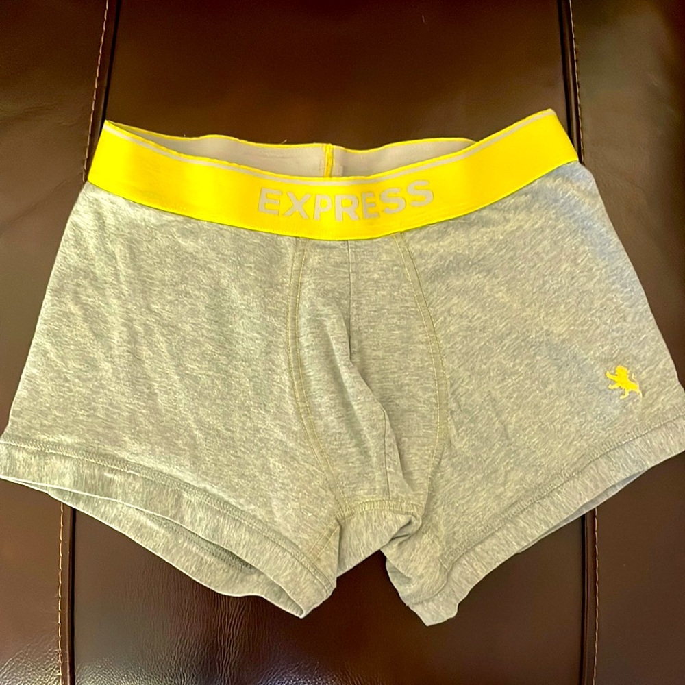Express Boxer brief gray